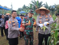 Kapolres Metro Bekasi kota Kombes Pol Kusumo Wahyu Bintoro, SH,.S.I.K,.MH,. Panen Raya Jagung Kuartal III
