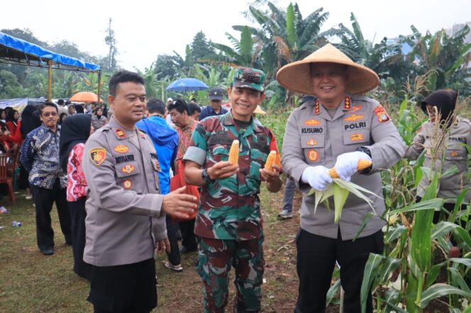 
					Kapolres Metro Bekasi kota Kombes Pol Kusumo Wahyu Bintoro, SH,.S.I.K,.MH,. Panen Raya Jagung Kuartal III