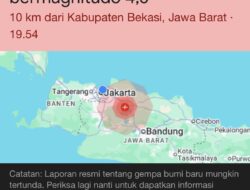 Jakarta dan Sekitarnya Diguncang Gempa, BNPB dan BPBD Cek ke Lapangan