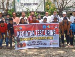 Satresnarkoba Polres Labuhanbatu Selatan, Gelar Tes Urine Terhadap Karyawan PT Rumbiya Estate