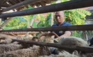 Kisah Inspiratif Polisi di Bekasi Bina Peternakan Kambing dan Unggas, Bantu Warga Naik Kelas Ekonomi