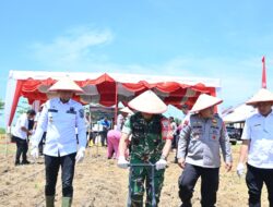 Kapolres Labusel Penanaman Jagung Serentak Kuartal IV, Dorong Ketahanan Pangan di Daerah