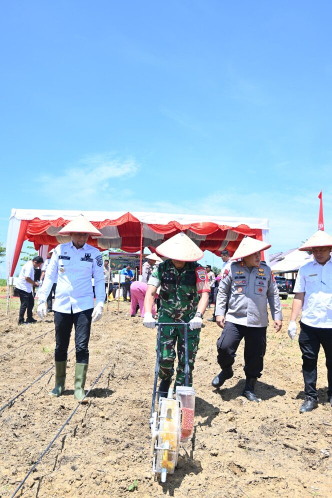 
					Kapolres Labusel Penanaman Jagung Serentak Kuartal IV, Dorong Ketahanan Pangan di Daerah