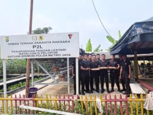 Brimob Polda Metro Jaya Budidaya Ayam Petelur di Lahan P2L, Dukung Program Ketahanan Pangan Nasional