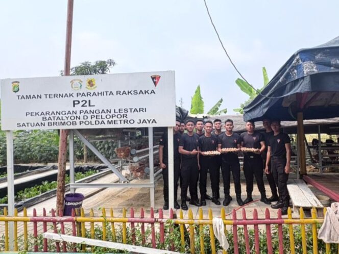 
					Brimob Polda Metro Jaya Budidaya Ayam Petelur di Lahan P2L, Dukung Program Ketahanan Pangan Nasional