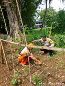 Pemantauan Tanaman Jagung dan Pembersihan Rumput Liar Digelar di RPTRA Borobudur