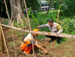 Pemantauan Tanaman Jagung dan Pembersihan Rumput Liar Digelar di RPTRA Borobudur