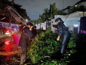 Brimob Polda Metro Jaya Sigap Evakuasi Pohon Tumbang di Kebayoran Baru, Arus Lalu Lintas Kembali Lancar