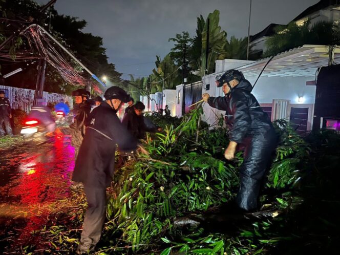 
					Brimob Polda Metro Jaya Sigap Evakuasi Pohon Tumbang di Kebayoran Baru, Arus Lalu Lintas Kembali Lancar