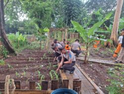 Sinergi Hijau, Bhabinkamtibmas Pegangsaan dan Siswa Bintara Latja Rawat Tanaman Jagung di Lapangan Borobudur