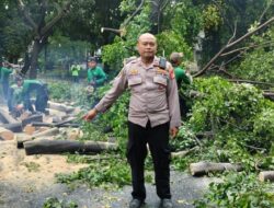Sigap di Tengah Hujan, Polsek Menteng Bantu Evakuasi Pohon Tumbang di Jalan Moh. Yamin