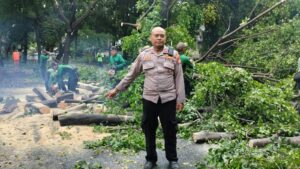 Sigap di Tengah Hujan, Polsek Menteng Bantu Evakuasi Pohon Tumbang di Jalan Moh. Yamin