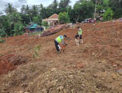 Polri Kerahkan Anjing Pelacak dalam Pencarian Korban Longsor Cilacap