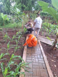 Rawat Ketahanan Pangan Warga, Bhabinkamtibmas Pegangsaan Pantau Kebun Jagung di RPTRA Borobudur