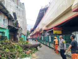 Pendampingan Bhabinkamtibmas Mangga Dua Selatan Pastikan Penopingan Pohon Berjalan Aman