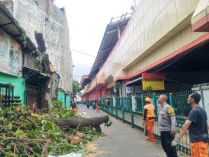 Pendampingan Bhabinkamtibmas Mangga Dua Selatan Pastikan Penopingan Pohon Berjalan Aman