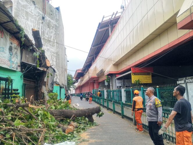 
					Pendampingan Bhabinkamtibmas Mangga Dua Selatan Pastikan Penopingan Pohon Berjalan Aman