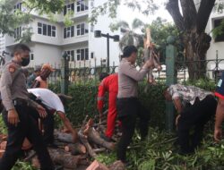 Ditpamobvit Polda Metro Jaya Gerak Cepat Evakuasi Pohon Tumbang Dekat Stasiun MRT Jakarta