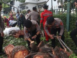 Ditpamobvit Polda Metro Jaya Gerak Cepat Evakuasi Pohon Tumbang Dekat Stasiun MRT Jakarta