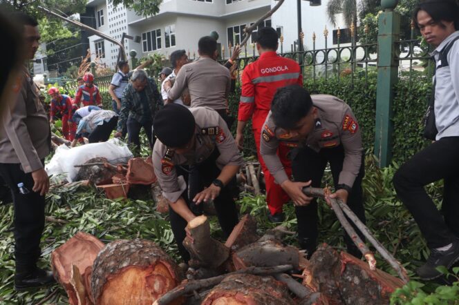
					Ditpamobvit Polda Metro Jaya Gerak Cepat Evakuasi Pohon Tumbang Dekat Stasiun MRT Jakarta