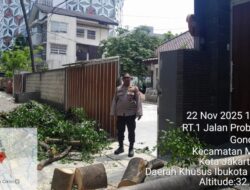 Personel Patmor Menteng Awasi Pemangkasan Pohon di Musim Hujan Untuk Cegah Pohon Tumbang