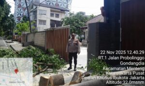 Personel Patmor Menteng Awasi Pemangkasan Pohon di Musim Hujan Untuk Cegah Pohon Tumbang