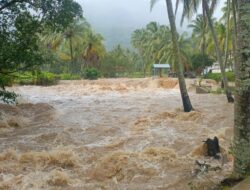 Banjir Bandang Terjang Paninggahan, Rusak Lahan Pertanian dan Rumah Warga Wakil Bupati Solok Tinjau Lokasi Terdampak