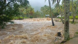 Banjir Bandang Terjang Paninggahan, Rusak Lahan Pertanian dan Rumah Warga Wakil Bupati Solok Tinjau Lokasi Terdampak