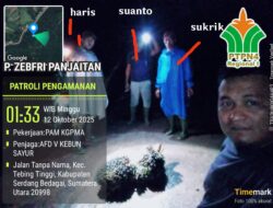 Dirut PTPN 4 Diminta Evaluasi Manajemen Gunung Pamela, Whistleblower Pencurian TBS Di-PHK
