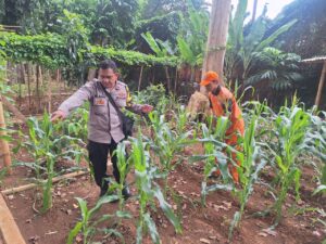 Rawat Lahan Pangan Kota, Bhabinkamtibmas Pegangsaan Ajak Warga Perkuat Ketahanan Pangan di Borobudur