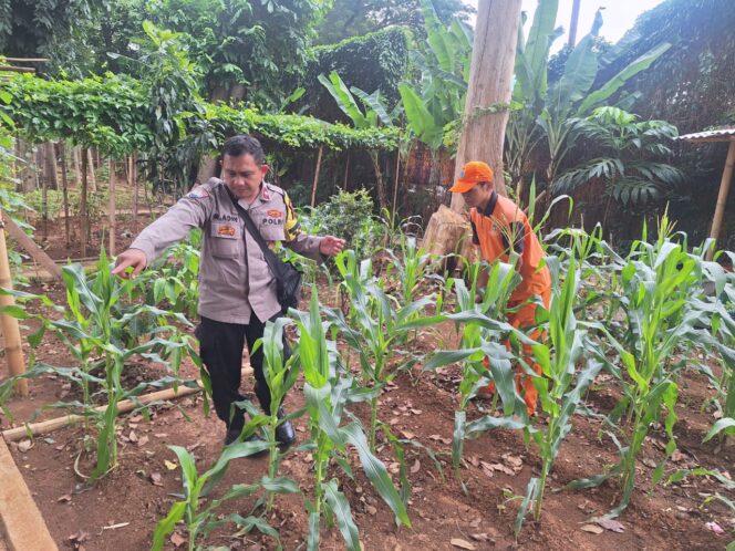 
					Rawat Lahan Pangan Kota, Bhabinkamtibmas Pegangsaan Ajak Warga Perkuat Ketahanan Pangan di Borobudur