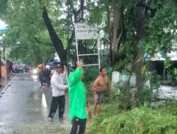 Kecepatan Bhabinkamtibmas Dan Pihak Terkait” Tutup Jalan Sementara, Tangani Pohon Tumbang di Wahidin 2”