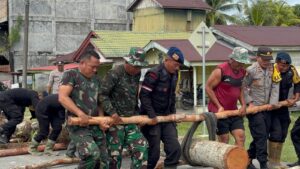 Sinergitas TNI Polri dan Masyarakat Bangun Jembatan Darurat di Aceh Singkil