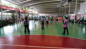 Persit Kartika Chandra Kirana Kodim 0502/Jakarta Utara Gelar Pertandingan Bola Voli Daring Peringati Hari Ibu ke-97