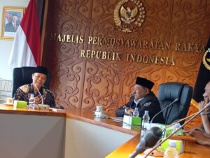 Fahira Idris ucapkan selamat Bergabung Wakil Ketua MPR RI DR. H.M Hidayat Nur Wahid, MA sebagai Dewan Pembina FLO Provinsi DKI Jakarta