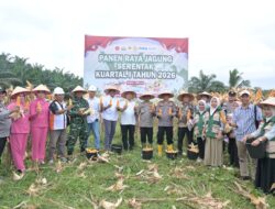 Polres Labusel Gelar Panen Raya Jagung Serentak Kuartal I 2026 di Sungai Kanan