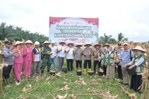 Polres Labusel Gelar Panen Raya Jagung Serentak Kuartal I 2026 di Sungai Kanan