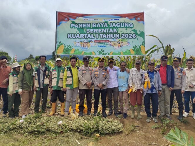 
					Semangat Tani Membara! Kelompok Tani Tanjung Raya Tenam Bungkuk Sukses Panen Jagung, Dukung Ketahanan Pangan Nasional