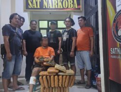Bandar Narkoba Ambruk ditembak Polisi di Labusel