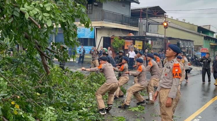 Sigap Brimob Metro Jaya Tangani Pohon Tumbang di Ciputat