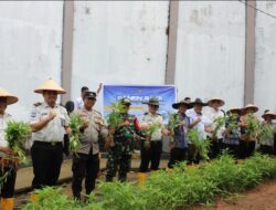 Wujudkan Ketahanan Pangan Dan Kepedulian Sosial, Lapas Muara Enim Ikuti Panen Raya Serentak Pemasyarakatan