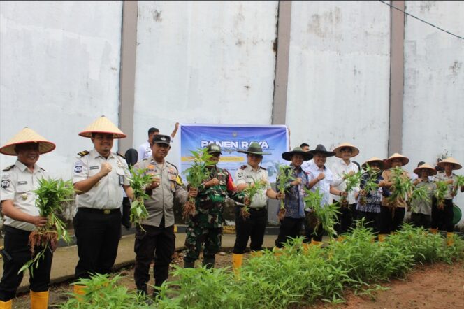 
					Wujudkan Ketahanan Pangan Dan Kepedulian Sosial, Lapas Muara Enim Ikuti Panen Raya Serentak Pemasyarakatan