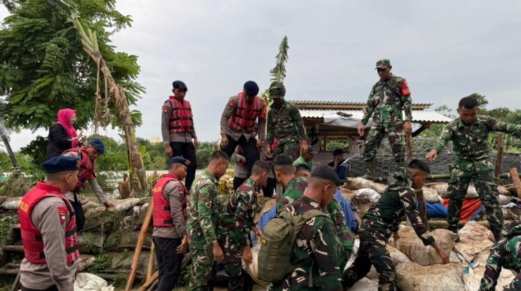 Brimob Polda Metro Jaya Dan TNI Tangani Tanggul Jebol di Muara Gembong