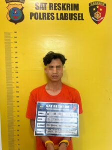 DALAM SEPEKAN SATRESKRIM POLRES LABUHANBATU SELATAN UNGKAP DUA KASUS TINDAK PIDANA CABUL DAN PERSETUBUHAN TERHADAP ANAK