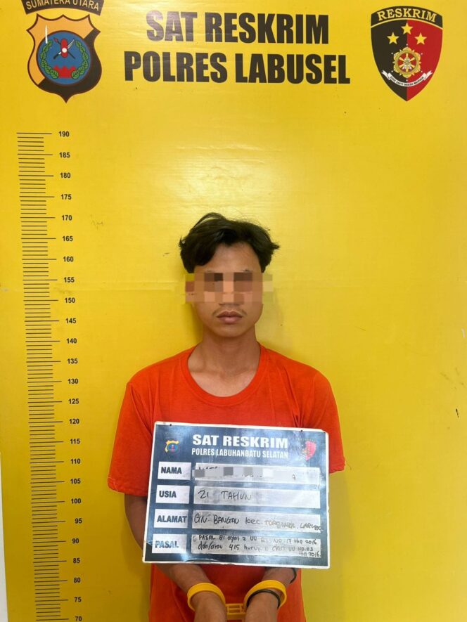 
					DALAM SEPEKAN SATRESKRIM POLRES LABUHANBATU SELATAN UNGKAP DUA KASUS TINDAK PIDANA CABUL DAN PERSETUBUHAN TERHADAP ANAK