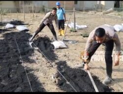 Taruna Akpol Pulihkan Ketahanan Pangan dan UMKM Warga Aceh Tamiang Lewat Pekarangan Pangan Lestari