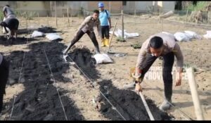 Taruna Akpol Pulihkan Ketahanan Pangan dan UMKM Warga Aceh Tamiang Lewat Pekarangan Pangan Lestari