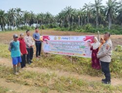 Polri Dampingi Penanaman Jagung 1 Hektare di Nagodang, Dukung Program Swasembada Pangan Presiden Prabowo