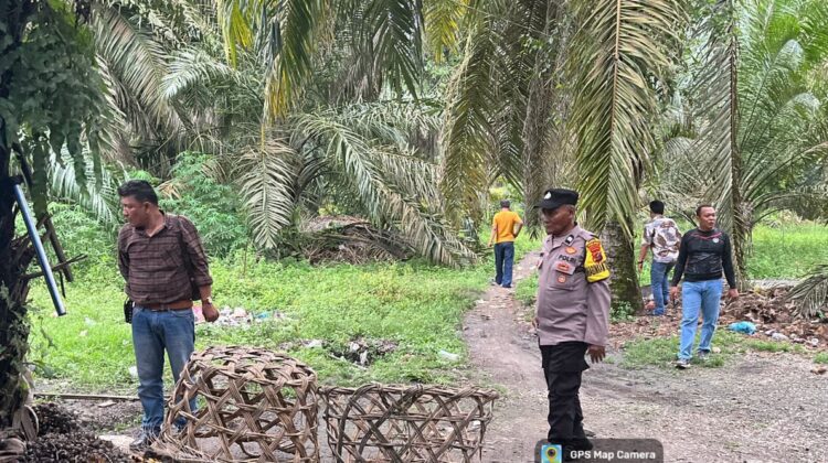 KRYD GSN di Kampung Rakyat, Polsek Sisir Dusun Bis Dua Perkebunan Tolan: Nihil Temuan, Warga Dihimbau Waspada Narkoba