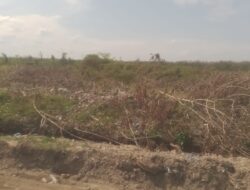 Dugaan Pelanggaran di PT BSP Asahan Berpotensi Rugikan Negara Hingga Rp5,45 Miliar
